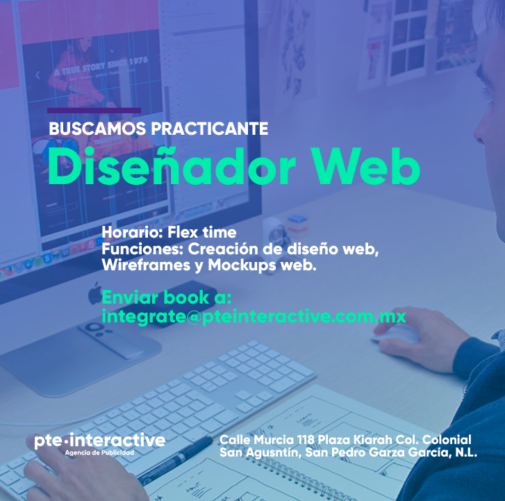 Practicante Diseñador Web