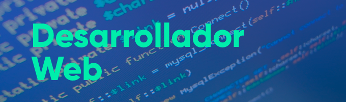 Vacante Desarrollador Web